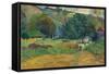 The Valley (Le Vallo), 1892-Paul Gauguin-Framed Stretched Canvas