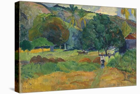 The Valley (Le Vallo), 1892-Paul Gauguin-Stretched Canvas