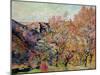 The Valley of the Sedelle in Crozant, c.1898-Armand Guillaumin-Mounted Giclee Print