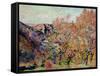 The Valley of the Sedelle in Crozant, c.1898-Armand Guillaumin-Framed Stretched Canvas