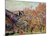 The Valley of the Sedelle in Crozant, c.1898-Armand Guillaumin-Mounted Giclee Print