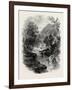 The Valley of the Wharfe, the Forest Scenery Of19th Century-null-Framed Giclee Print