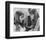 The Vampire Lovers-null-Framed Photo