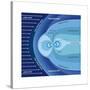 The Van Allen Radiation Belts Contained Within the Earth's Magnetosphere-Encyclopaedia Britannica-Stretched Canvas