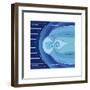 The Van Allen Radiation Belts Contained Within the Earth's Magnetosphere-Encyclopaedia Britannica-Framed Art Print