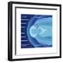 The Van Allen Radiation Belts Contained Within the Earth's Magnetosphere-Encyclopaedia Britannica-Framed Art Print