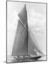 The Vanitie During the America's Cup, 1910-Edwin Levick-Mounted Art Print