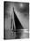 The Vanitie During the America's Cup, CA. 1900-1910-Edwin Levick-Stretched Canvas