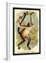 The Variegated Spider-Monkey-G.r. Waterhouse-Framed Art Print