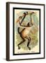 The Variegated Spider-Monkey-G.r. Waterhouse-Framed Art Print