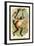 The Variegated Spider-Monkey-G.r. Waterhouse-Framed Art Print