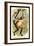 The Variegated Spider-Monkey-G.r. Waterhouse-Framed Art Print