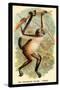 The Variegated Spider-Monkey-G.r. Waterhouse-Stretched Canvas