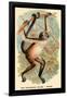 The Variegated Spider-Monkey-G.r. Waterhouse-Framed Art Print