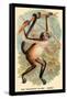 The Variegated Spider-Monkey-G.r. Waterhouse-Framed Stretched Canvas