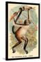 The Variegated Spider-Monkey-G.r. Waterhouse-Stretched Canvas