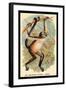 The Variegated Spider-Monkey-G.r. Waterhouse-Framed Art Print