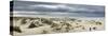 The Vast Empty Beach and Sand Dunes of Sao Jacinto in Winter, Beira Litoral, Portugal-Mauricio Abreu-Stretched Canvas
