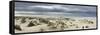 The Vast Empty Beach and Sand Dunes of Sao Jacinto in Winter, Beira Litoral, Portugal-Mauricio Abreu-Framed Stretched Canvas