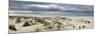 The Vast Empty Beach and Sand Dunes of Sao Jacinto in Winter, Beira Litoral, Portugal-Mauricio Abreu-Mounted Photographic Print