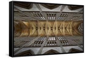The Vaulted Ceiling of Vendome Abbey, Loire-Et-Cher, Centre, France, Europe-Julian Elliott-Framed Stretched Canvas