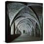 The Vaults in the Cellarium of Fountains Abbey, 12th Century-CM Dixon-Stretched Canvas