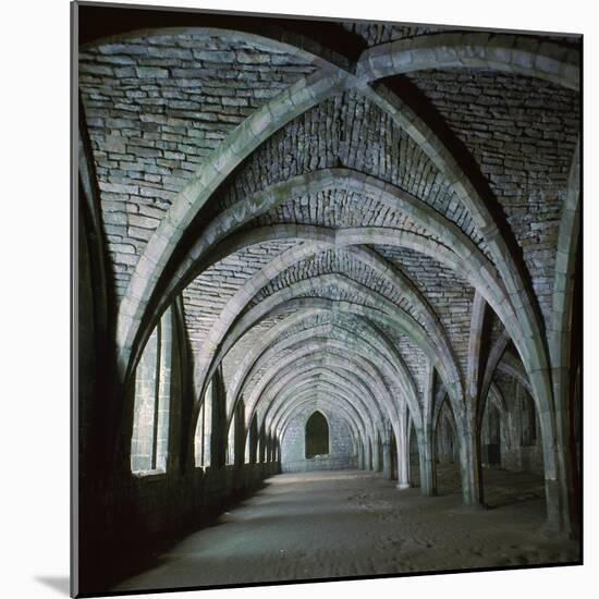 The Vaults in the Cellarium of Fountains Abbey, 12th Century-CM Dixon-Mounted Photographic Print