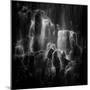 The veiled beings --- Ramona Falls-Shenshen Dou-Mounted Photographic Print