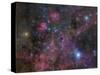 The Vela Supernova Remnant-Stocktrek Images-Stretched Canvas
