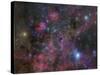 The Vela Supernova Remnant-Stocktrek Images-Stretched Canvas