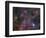 The Vela Supernova Remnant-Stocktrek Images-Framed Photographic Print