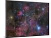 The Vela Supernova Remnant-Stocktrek Images-Mounted Photographic Print