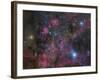 The Vela Supernova Remnant-Stocktrek Images-Framed Photographic Print
