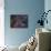 The Vela Supernova Remnant-Stocktrek Images-Mounted Photographic Print displayed on a wall