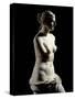 The Venus De Milo - Detail of a Marble Sculpture of Aphrodite-null-Stretched Canvas