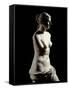 The Venus De Milo - Detail of a Marble Sculpture of Aphrodite-null-Framed Stretched Canvas