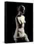 The Venus De Milo - Detail of a Marble Sculpture of Aphrodite-null-Framed Stretched Canvas