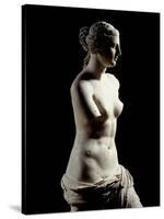 The Venus De Milo - Detail of a Marble Sculpture of Aphrodite-null-Stretched Canvas