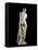 The Venus De Milo - Detail of a Marble Sculpture of Aphrodite-null-Framed Stretched Canvas