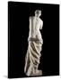 The Venus De Milo - Detail of a Marble Sculpture of Aphrodite-null-Stretched Canvas