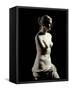 The Venus De Milo - Detail of a Marble Sculpture of Aphrodite-null-Framed Stretched Canvas