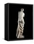 The Venus De Milo - Detail of a Marble Sculpture of Aphrodite-null-Framed Stretched Canvas