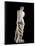 The Venus De Milo - Detail of a Marble Sculpture of Aphrodite-null-Framed Photographic Print