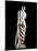 The Venus De Milo - Detail of a Marble Sculpture of Aphrodite-null-Mounted Photographic Print