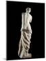 The Venus De Milo - Detail of a Marble Sculpture of Aphrodite-null-Mounted Photographic Print