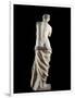 The Venus De Milo - Detail of a Marble Sculpture of Aphrodite-null-Framed Photographic Print