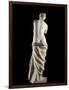 The Venus De Milo - Detail of a Marble Sculpture of Aphrodite-null-Framed Photographic Print