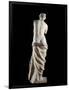 The Venus De Milo - Detail of a Marble Sculpture of Aphrodite-null-Framed Photographic Print