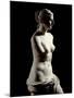 The Venus De Milo - Detail of a Marble Sculpture of Aphrodite-null-Mounted Photographic Print