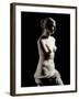 The Venus De Milo - Detail of a Marble Sculpture of Aphrodite-null-Framed Photographic Print